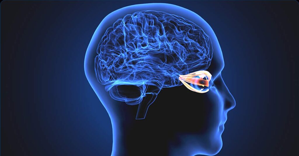 Neuroftalmologia: O que é e quais problemas pode diagnosticar?