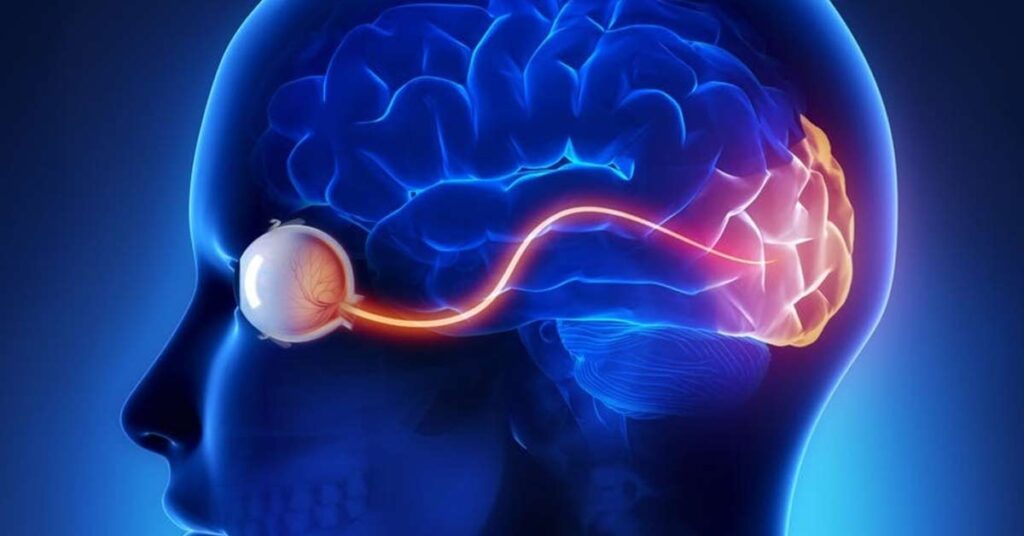 Preparando-se para sua Consulta de Neuroftalmologia: Dicas Práticas