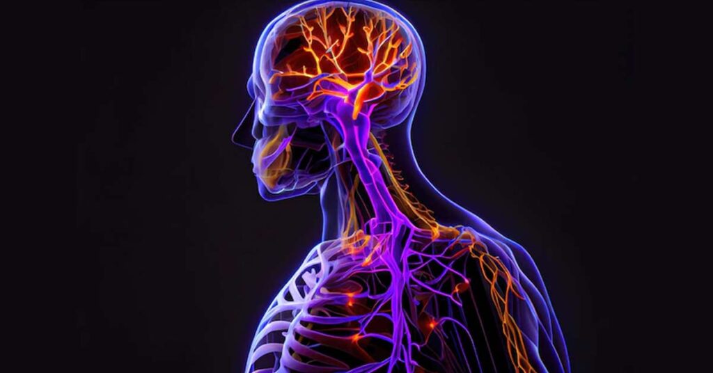 Neuroftalmologista: Cuidando da saúde visual e do sistema nervoso
